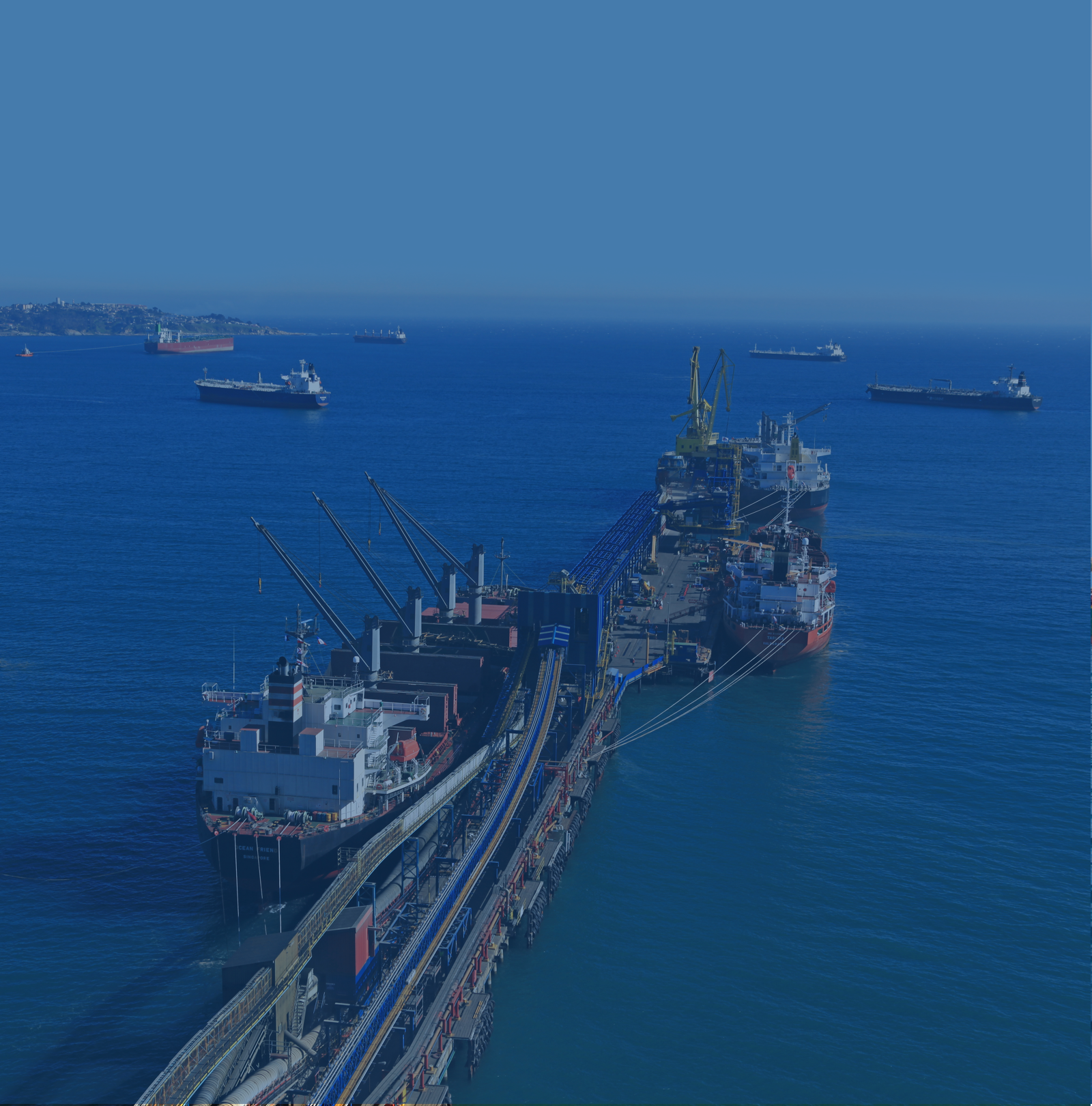 Most important bulk port            in central Chile